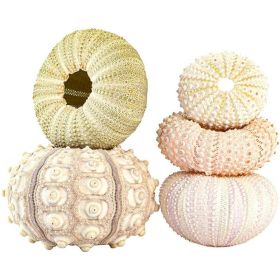 5PCS Funny Planter Pots Adorable Decorative Hanging Planter For Home Office Decor (Option: Default)