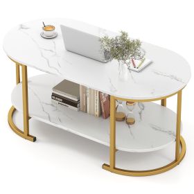 Marble Coffee Table with Open Storage Shelf (Color: White)