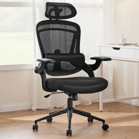 High Back Desk Chair with Adjustable Lumbar Support & Headrest,Comfortable Mesh Computer Chair with Soft Flip Up Arms, Adjustable Height and 120° (Color: Black)